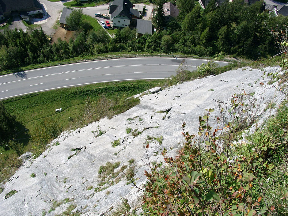 Blick zur Straße