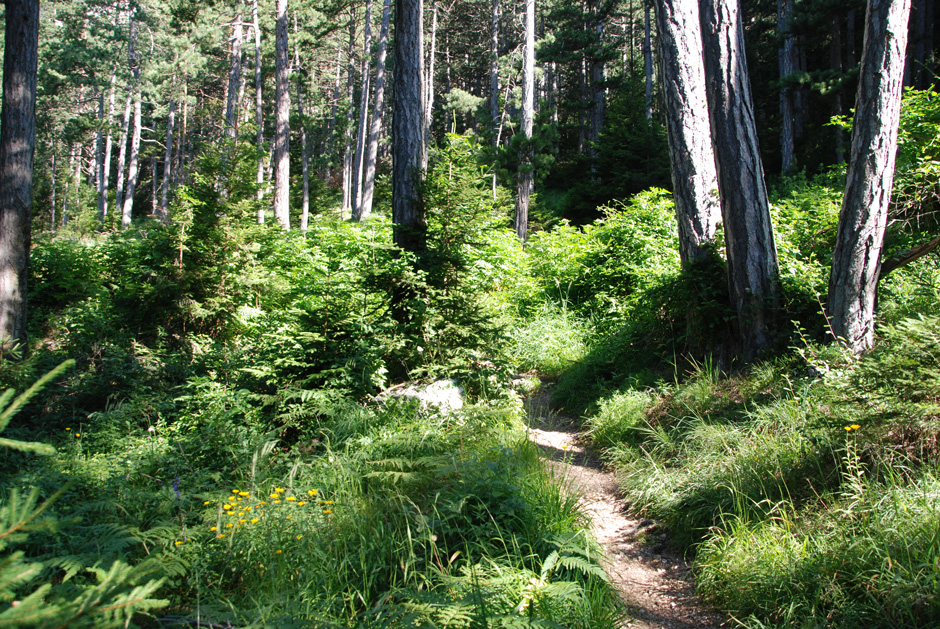 Wanderweg