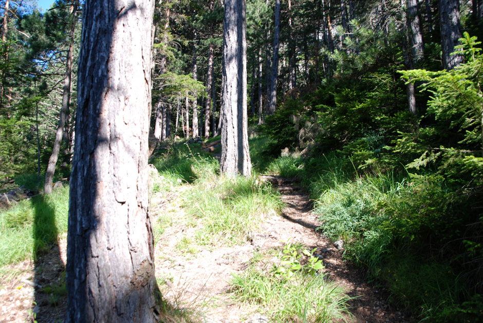 Wanderweg