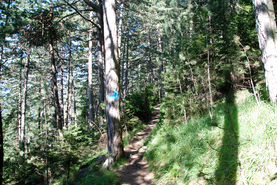 Wanderweg, Binderweg und Wandfußsteig