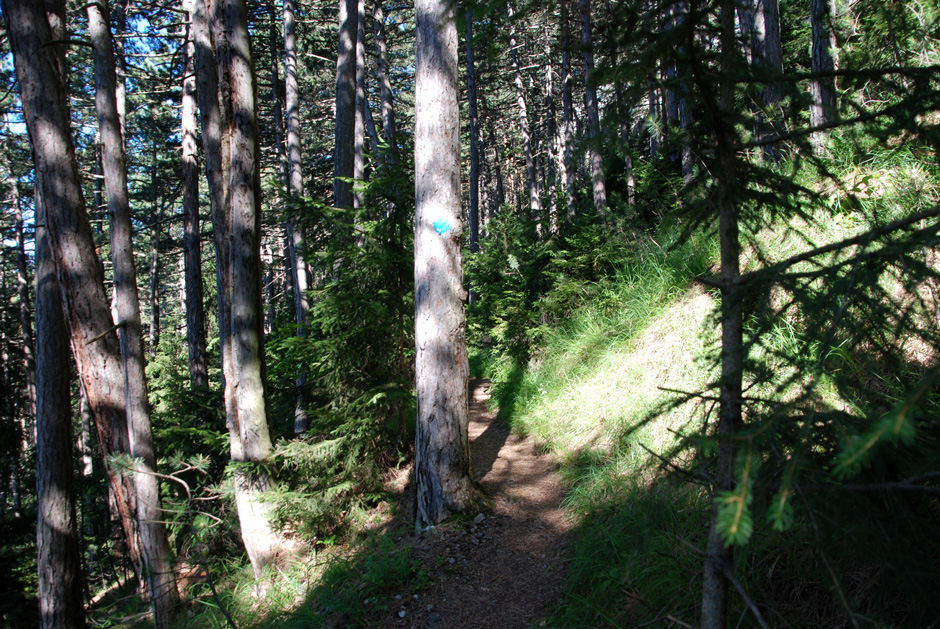 Wanderweg, Binderweg und Wandfußsteig