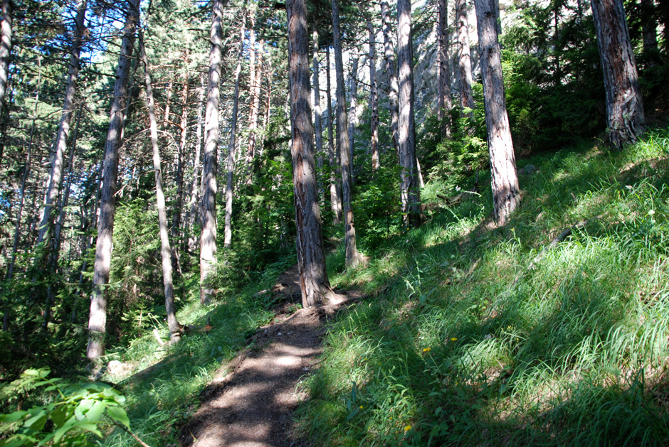 Wanderweg, Binderweg und Wandfußsteig