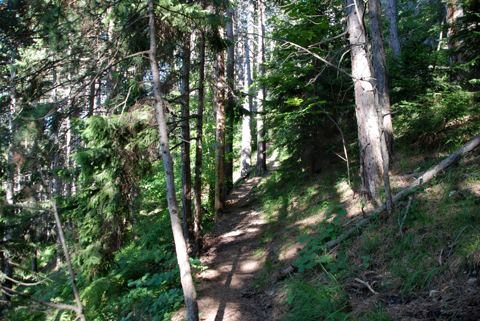 Wanderweg, Binderweg und Wandfußsteig