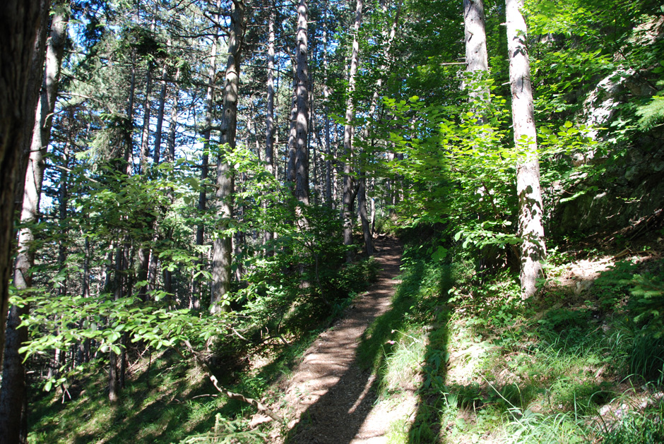 Wanderweg, Binderweg und Wandfußsteig