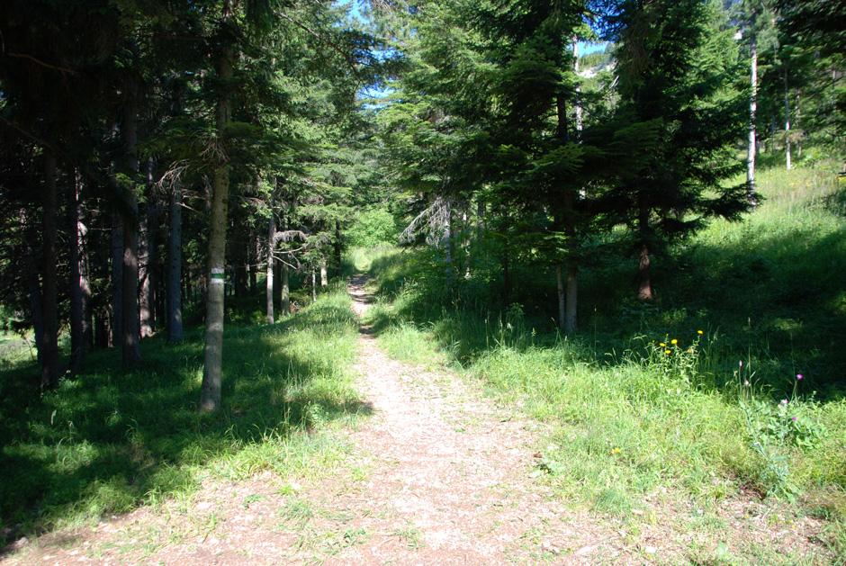 Wanderweg