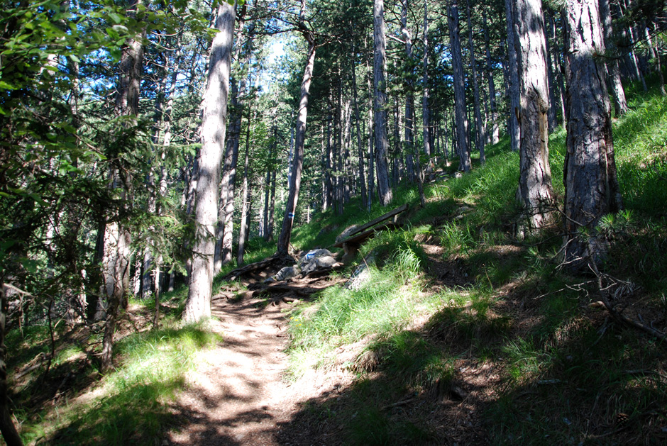 Wanderweg, Binderweg und Wandfußsteig