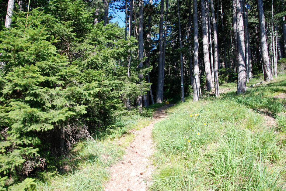 Wanderweg