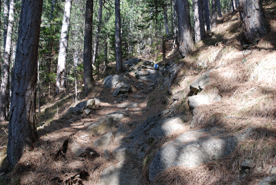 Zustieg Waldweg
