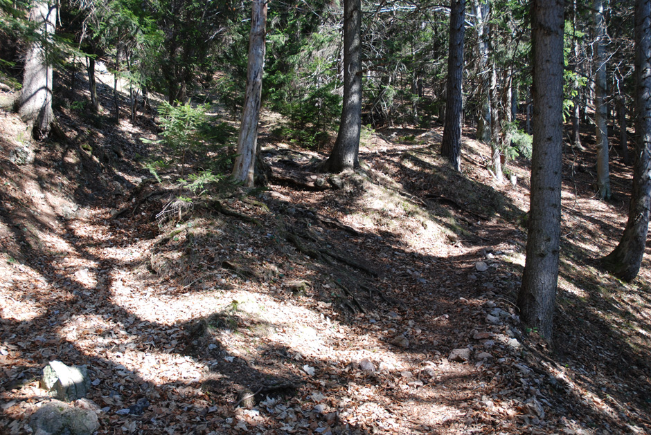 Waldweg