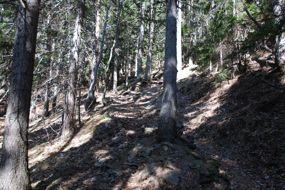 Waldweg