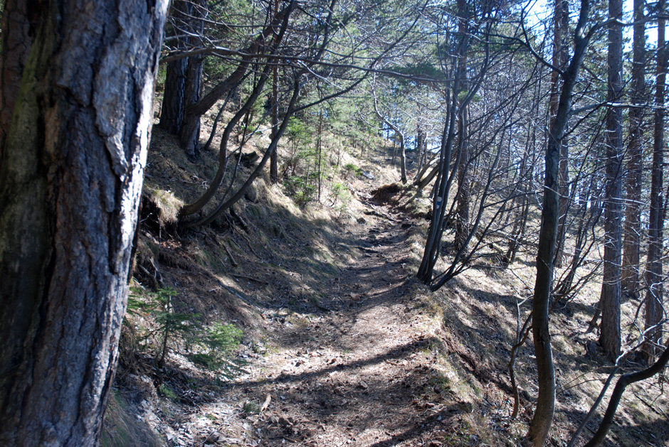 Waldweg