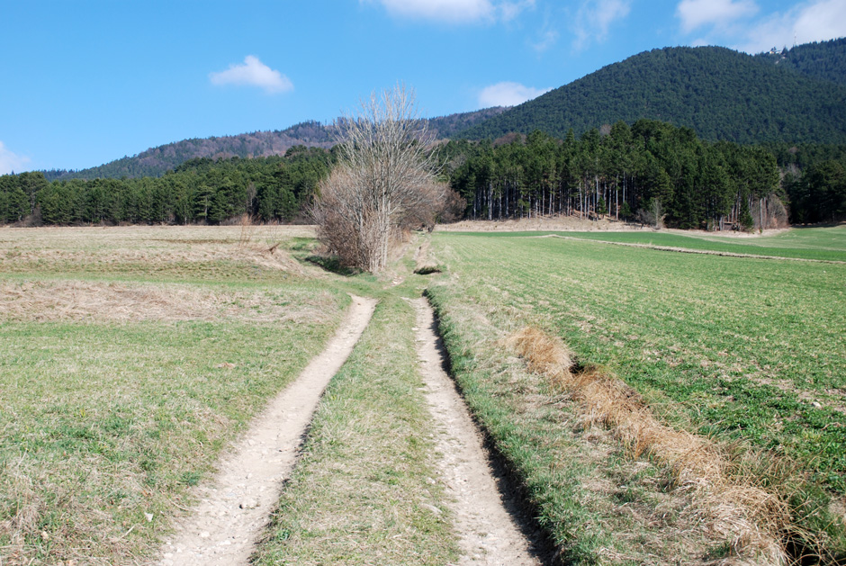 Feldweg