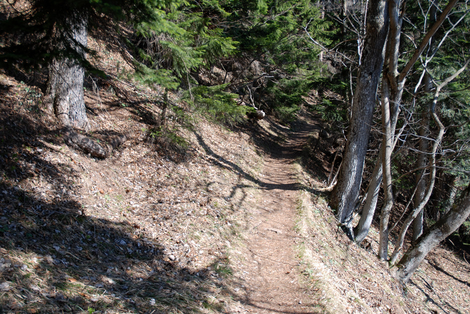 Waldweg