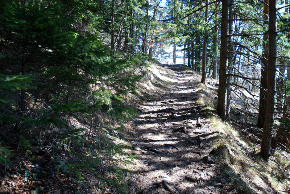 Waldweg