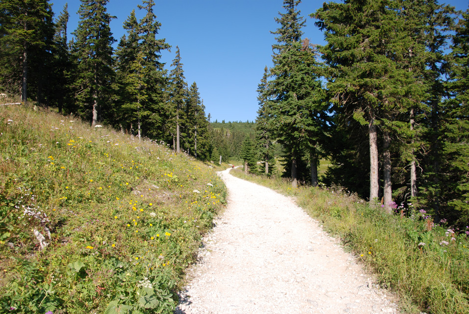 Wanderweg zum Ottohaus