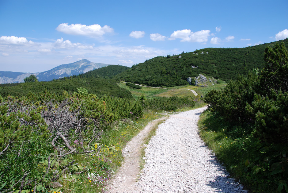 Seeweg