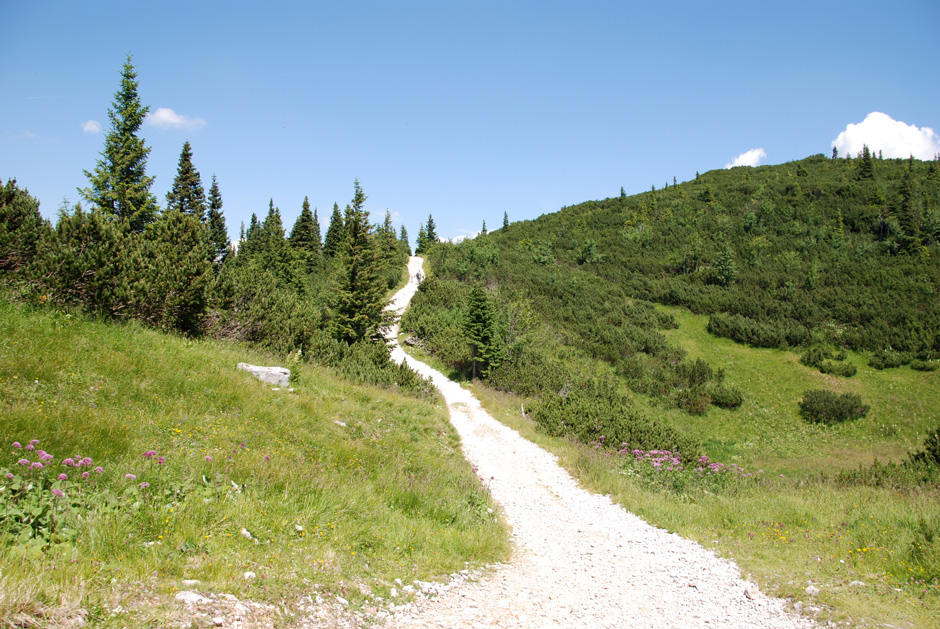 Seeweg