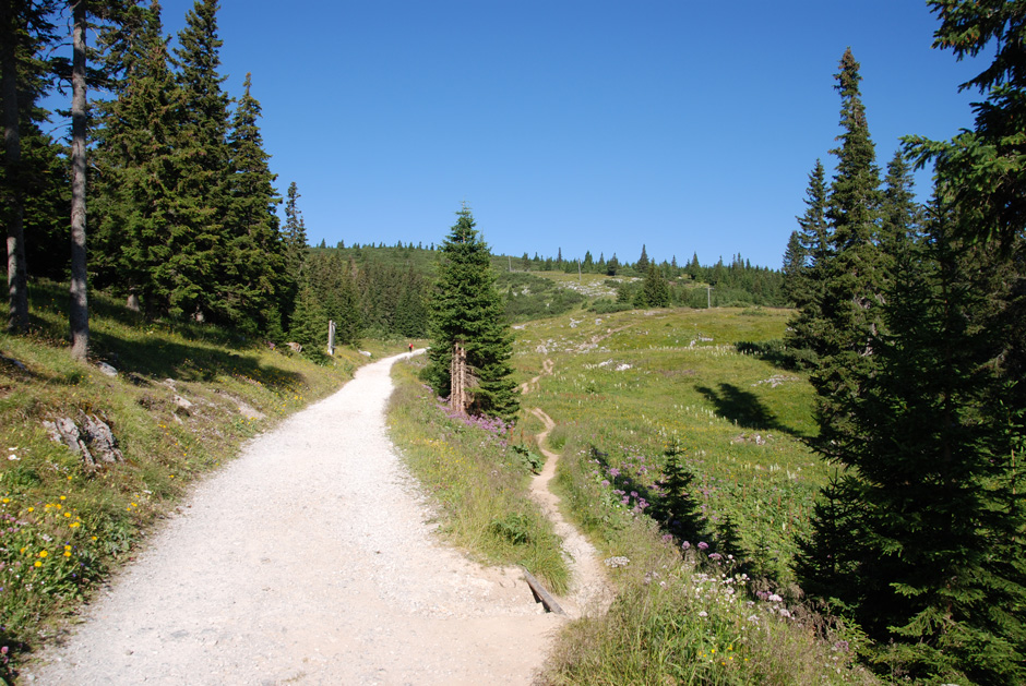 Wanderweg zum Ottohaus