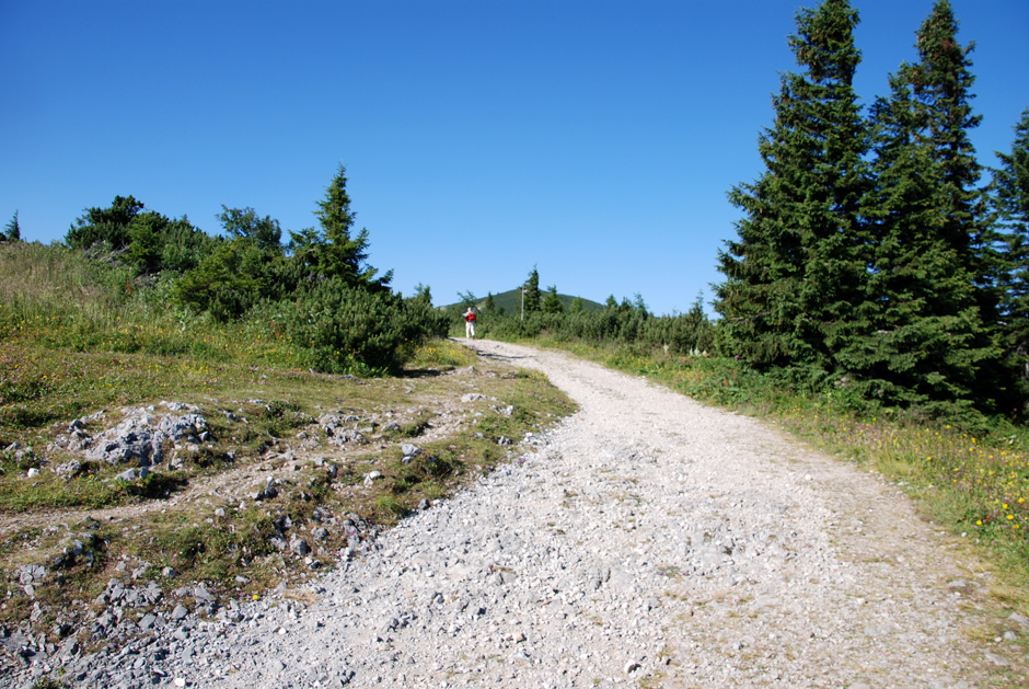 Wanderweg zum Ottohaus