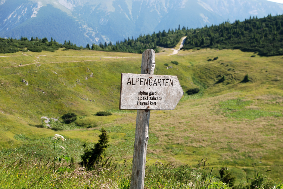 Wegweiser: Alpengarten