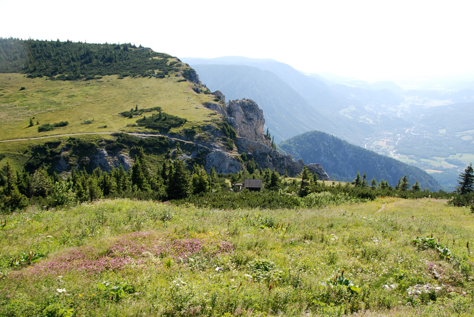 Törlkopf und Alpengarten