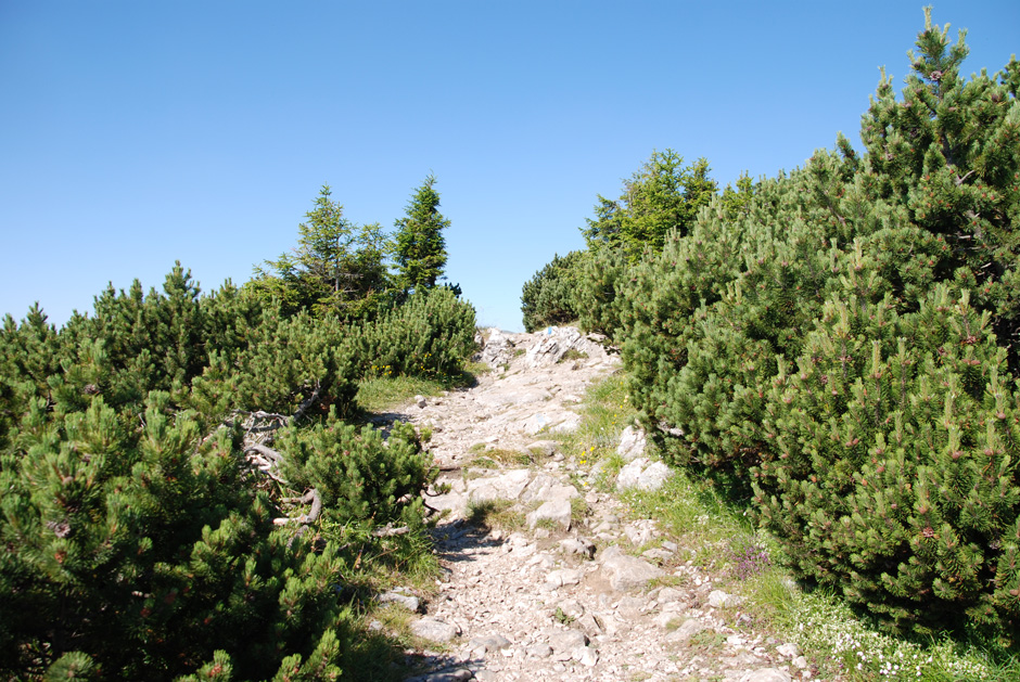 Kammweg