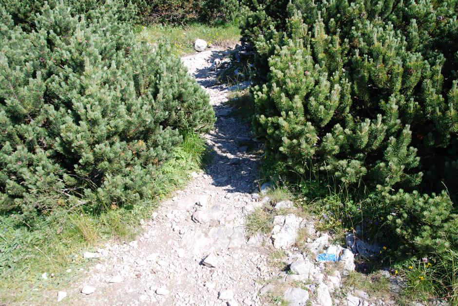 Weg zum Jakobskogel