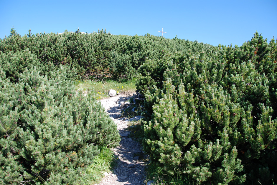 Weg zum Jakobskogel