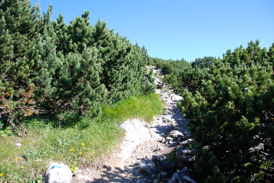 Weg zum Jakobskogel