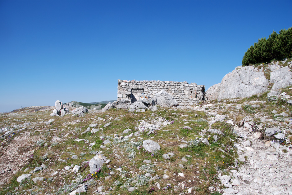 Weg zum Jakobskogel
