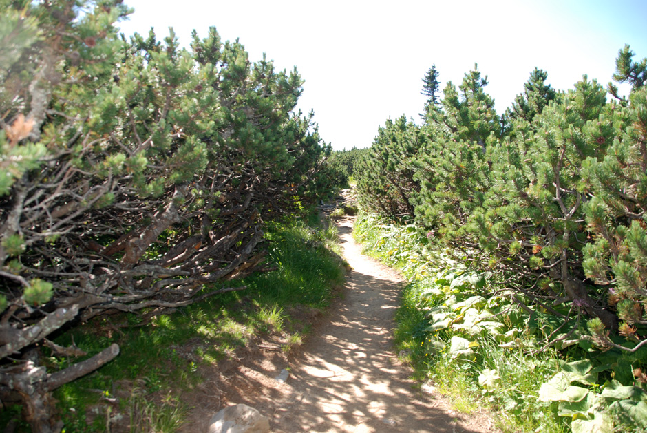 Kammweg