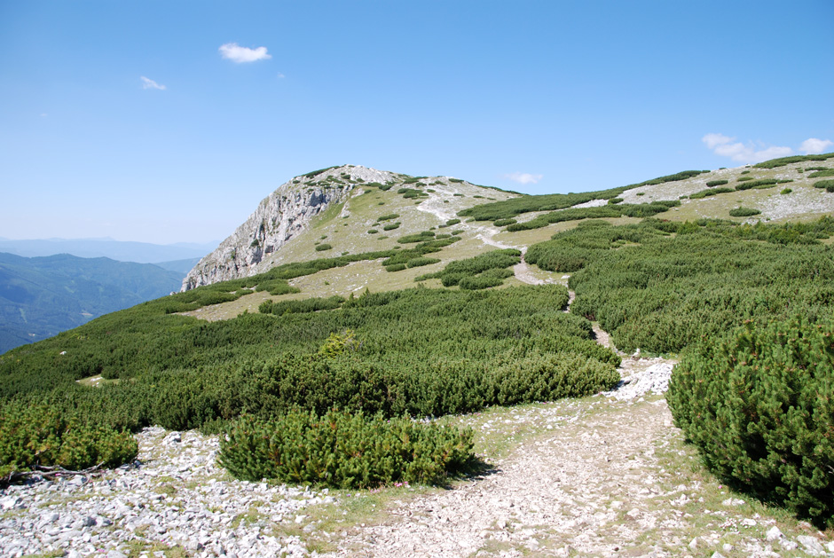 Kammweg