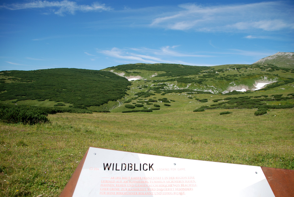 Blick Richtung Wildblick