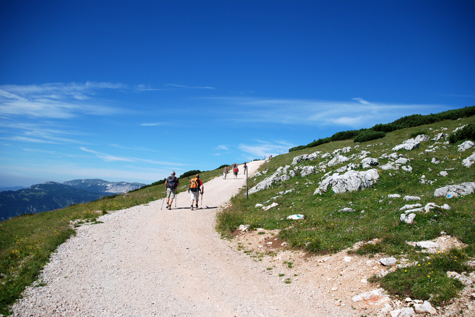 Wanderweg Richtung Damböckhaus