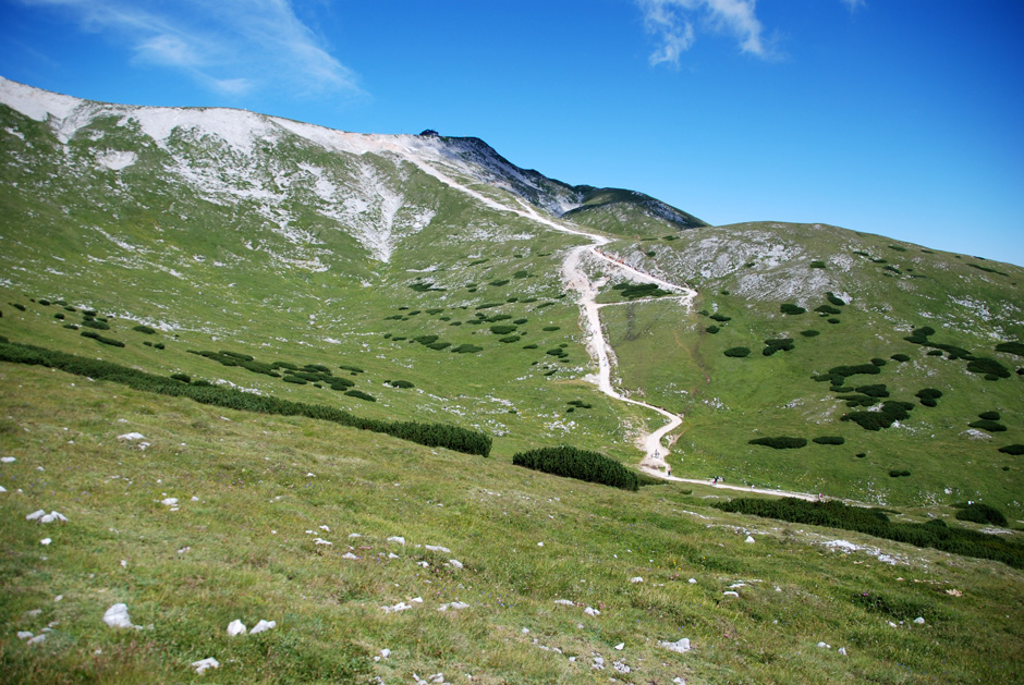 Fahr- bzw. Wanderweg Richtung Fischerhütte