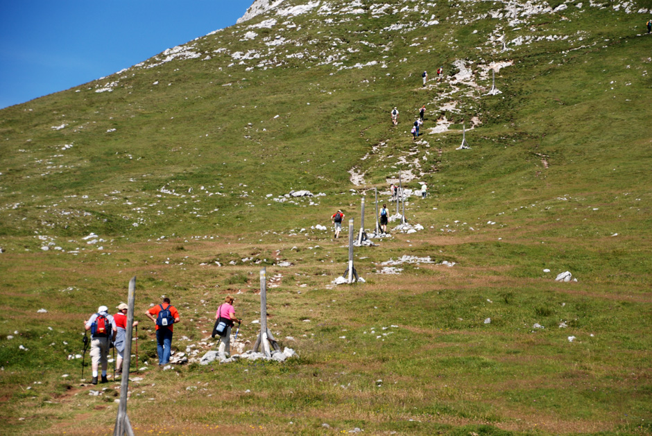 Wanderweg Richtung Klosterwappen