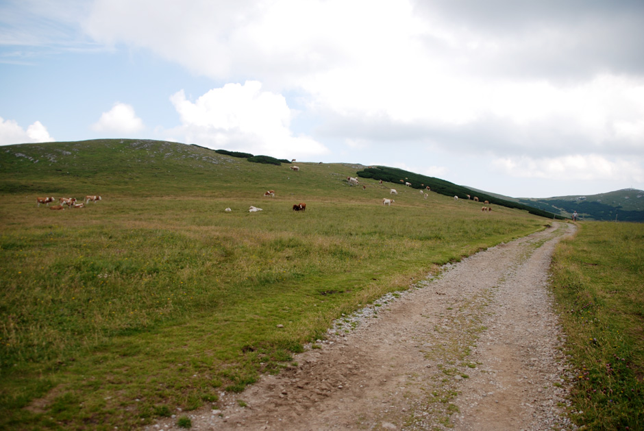 Wanderweg Richtung Bergbahnhof
