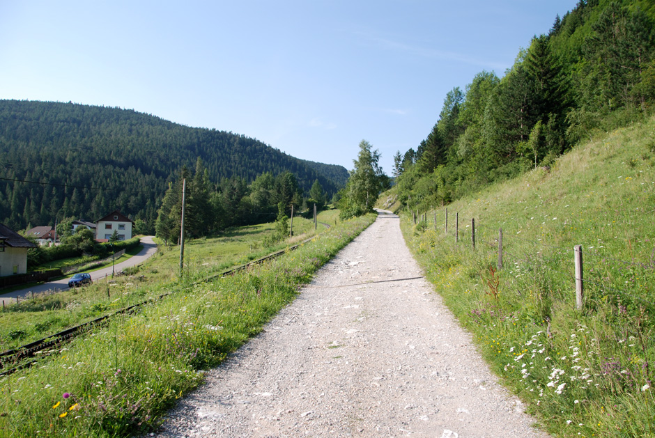 Forstweg Hengstweg