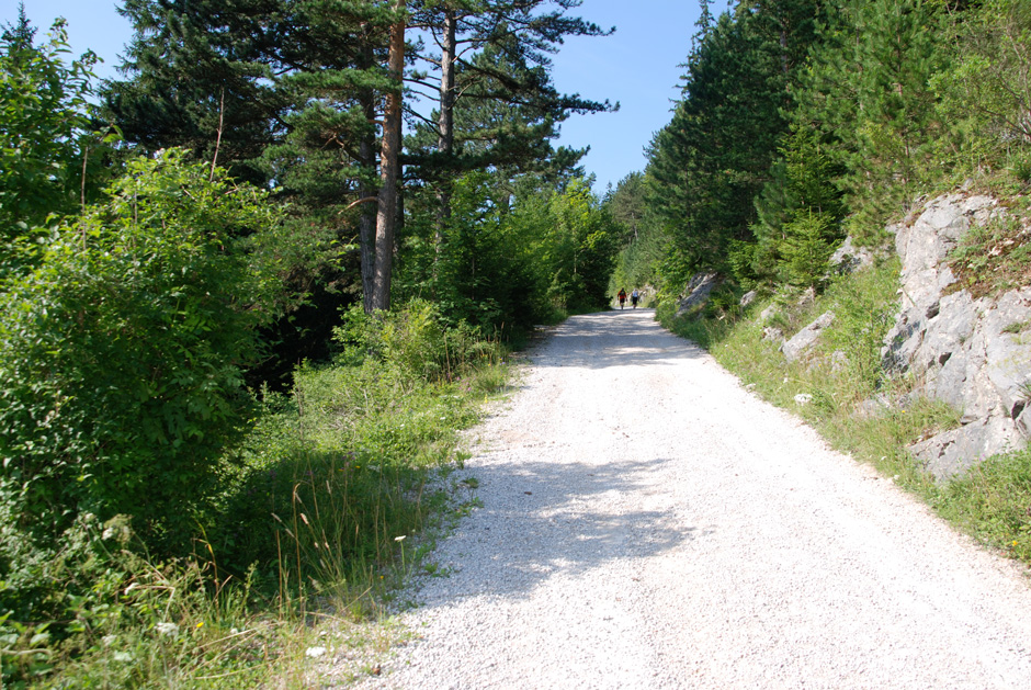 Forstweg Hengstweg