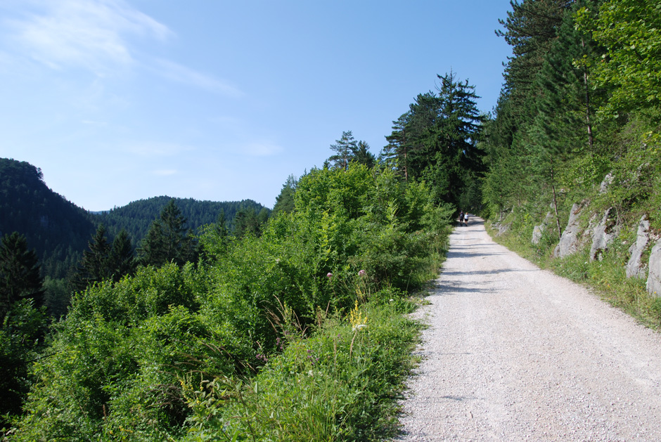 Forstweg Hengstweg