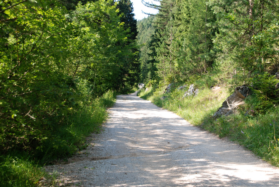 Forstweg Hengstweg