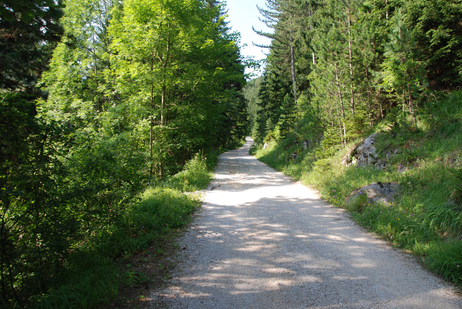 Forstweg Hengstweg