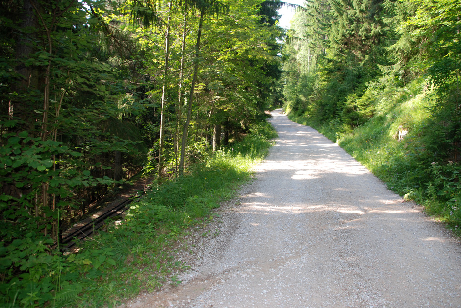 Forstweg Hengstweg