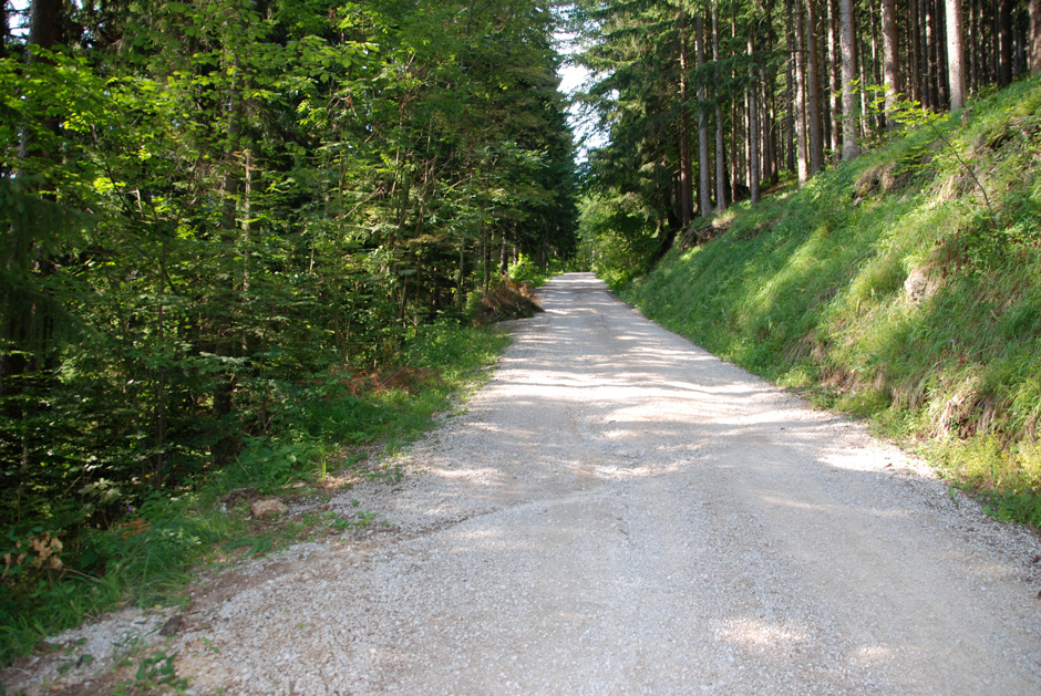 Forstweg Hengstweg