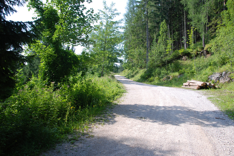 Forstweg Hengstweg