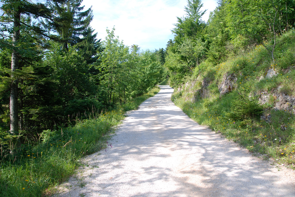 Forstweg Hengstweg