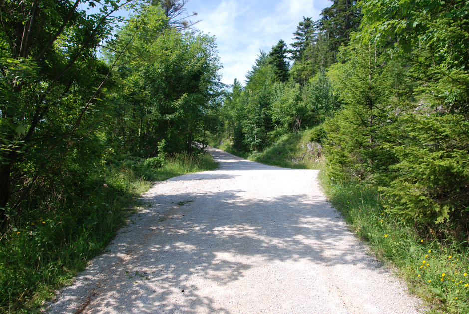 Forstweg Hengstweg