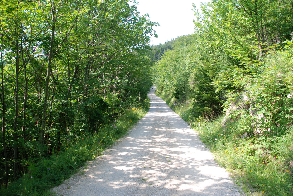 Forstweg Hengstweg