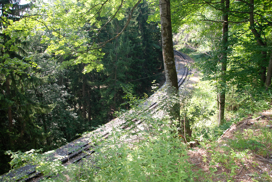 Gleise der Zahnradbahn