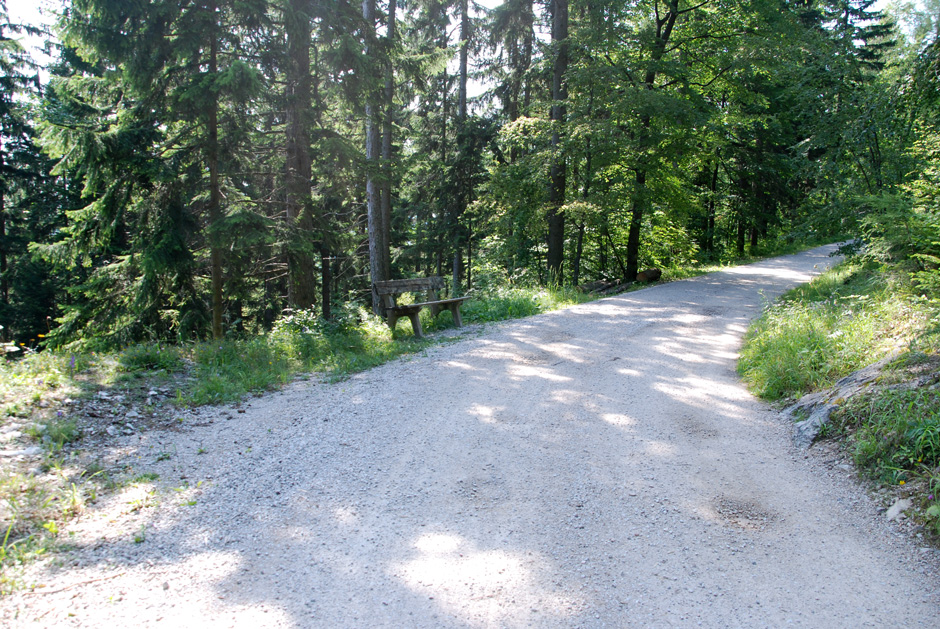 Forstweg Hengstweg mit Bankerl